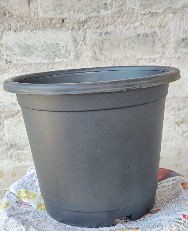 Black Plastic Pot 10 Inch